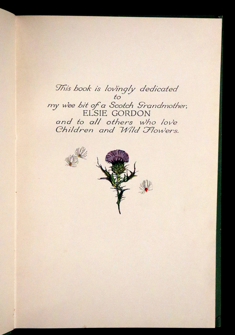 1918 Rare First Edition - WILD FLOWER CHILDREN The Little Playmates of the Fairies illustrated by Janet Laura Scott.