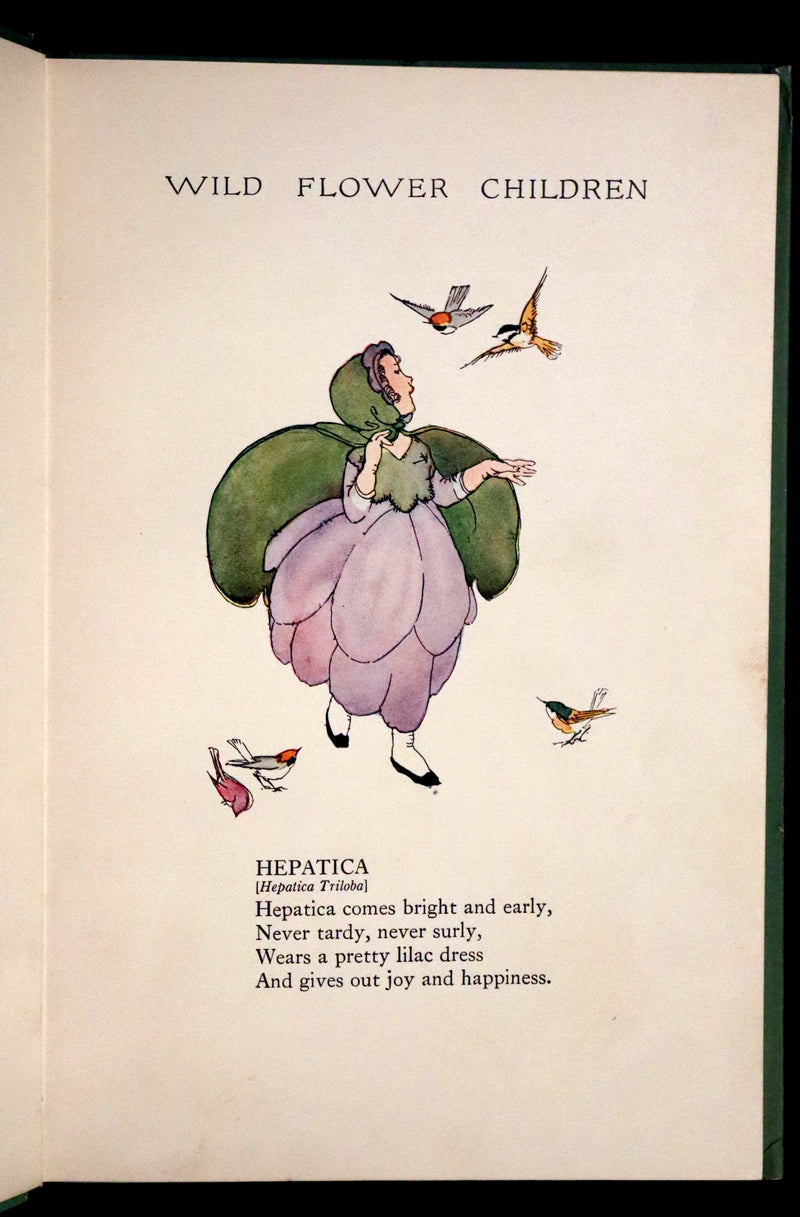 1918 Rare First Edition - WILD FLOWER CHILDREN The Little Playmates of the Fairies illustrated by Janet Laura Scott.
