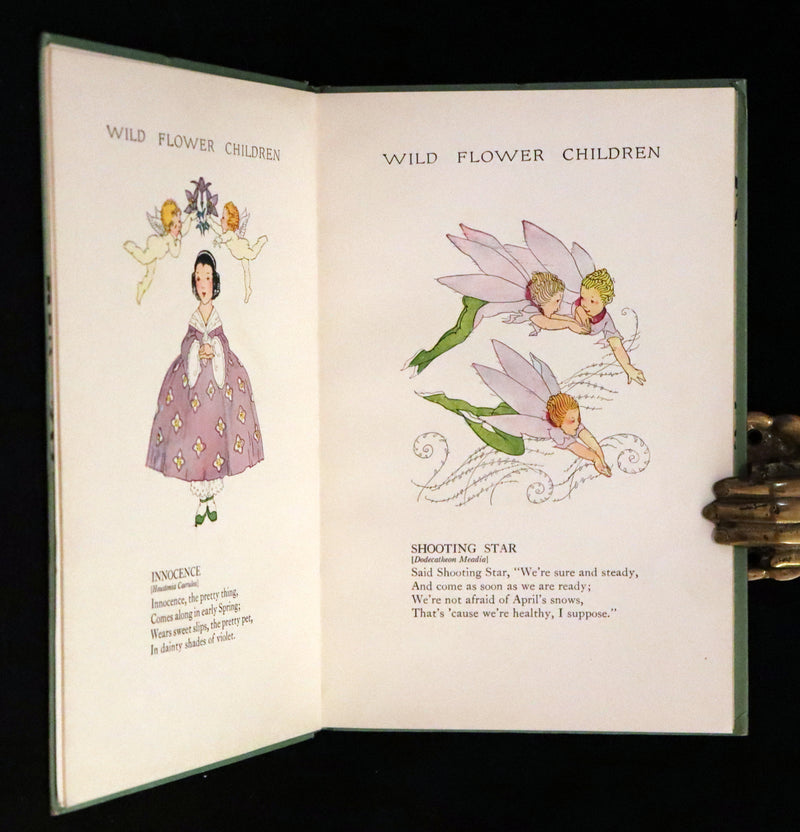 1918 Rare First Edition - WILD FLOWER CHILDREN The Little Playmates of the Fairies illustrated by Janet Laura Scott.