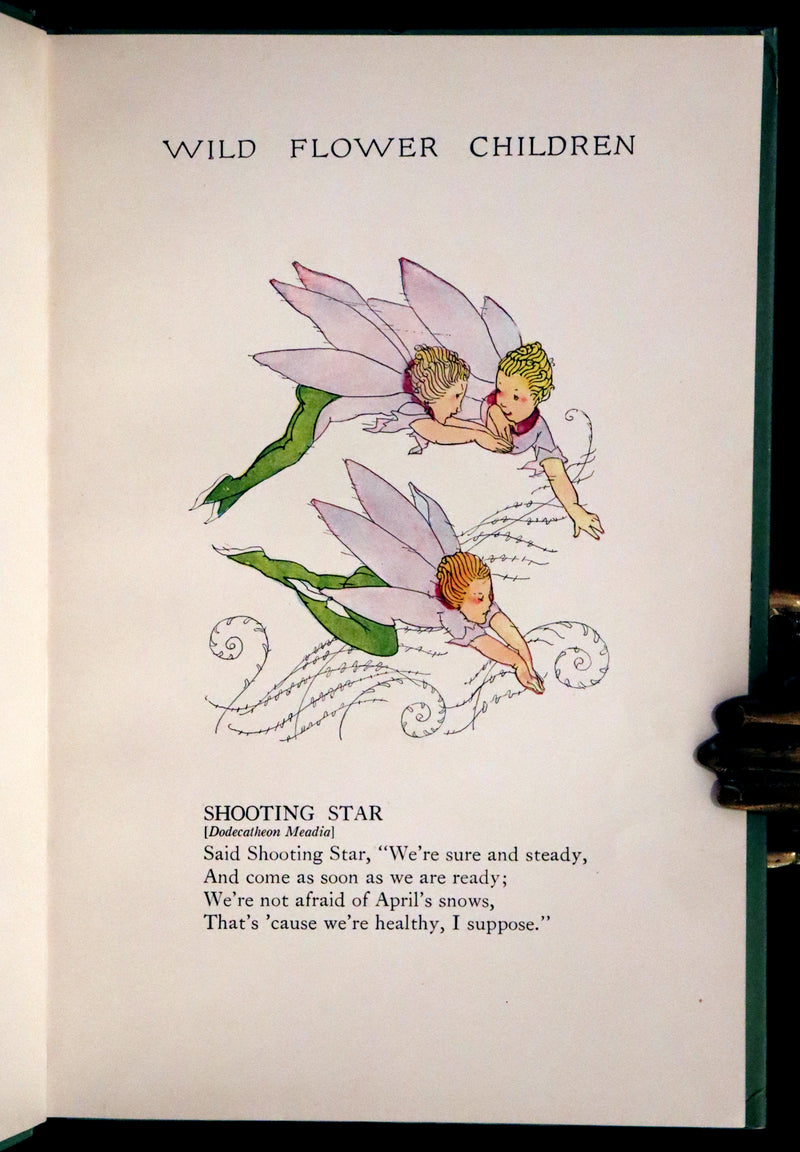 1918 Rare First Edition - WILD FLOWER CHILDREN The Little Playmates of the Fairies illustrated by Janet Laura Scott.