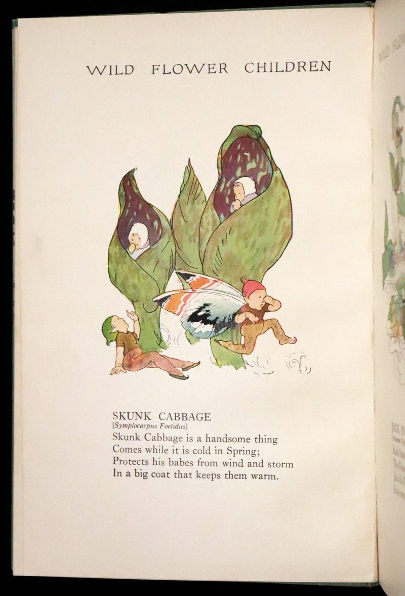 1918 Rare First Edition - WILD FLOWER CHILDREN The Little Playmates of the Fairies illustrated by Janet Laura Scott.