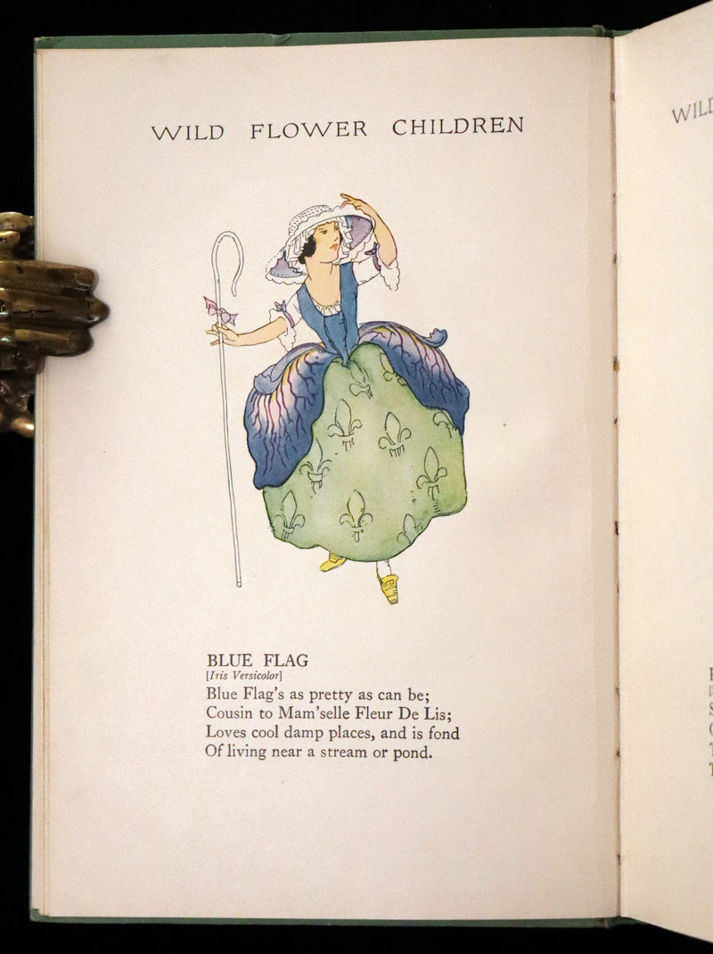 1918 Rare First Edition - WILD FLOWER CHILDREN The Little Playmates of the Fairies illustrated by Janet Laura Scott.
