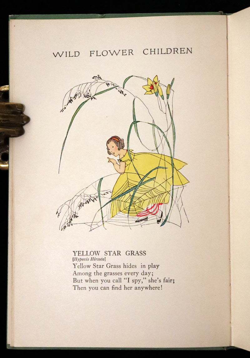 1918 Rare First Edition - WILD FLOWER CHILDREN The Little Playmates of the Fairies illustrated by Janet Laura Scott.