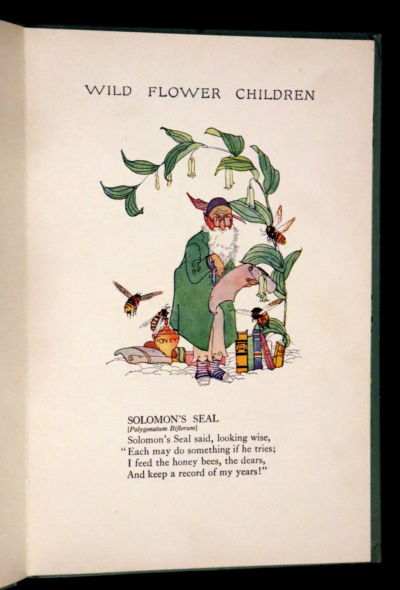 1918 Rare First Edition - WILD FLOWER CHILDREN The Little Playmates of the Fairies illustrated by Janet Laura Scott.