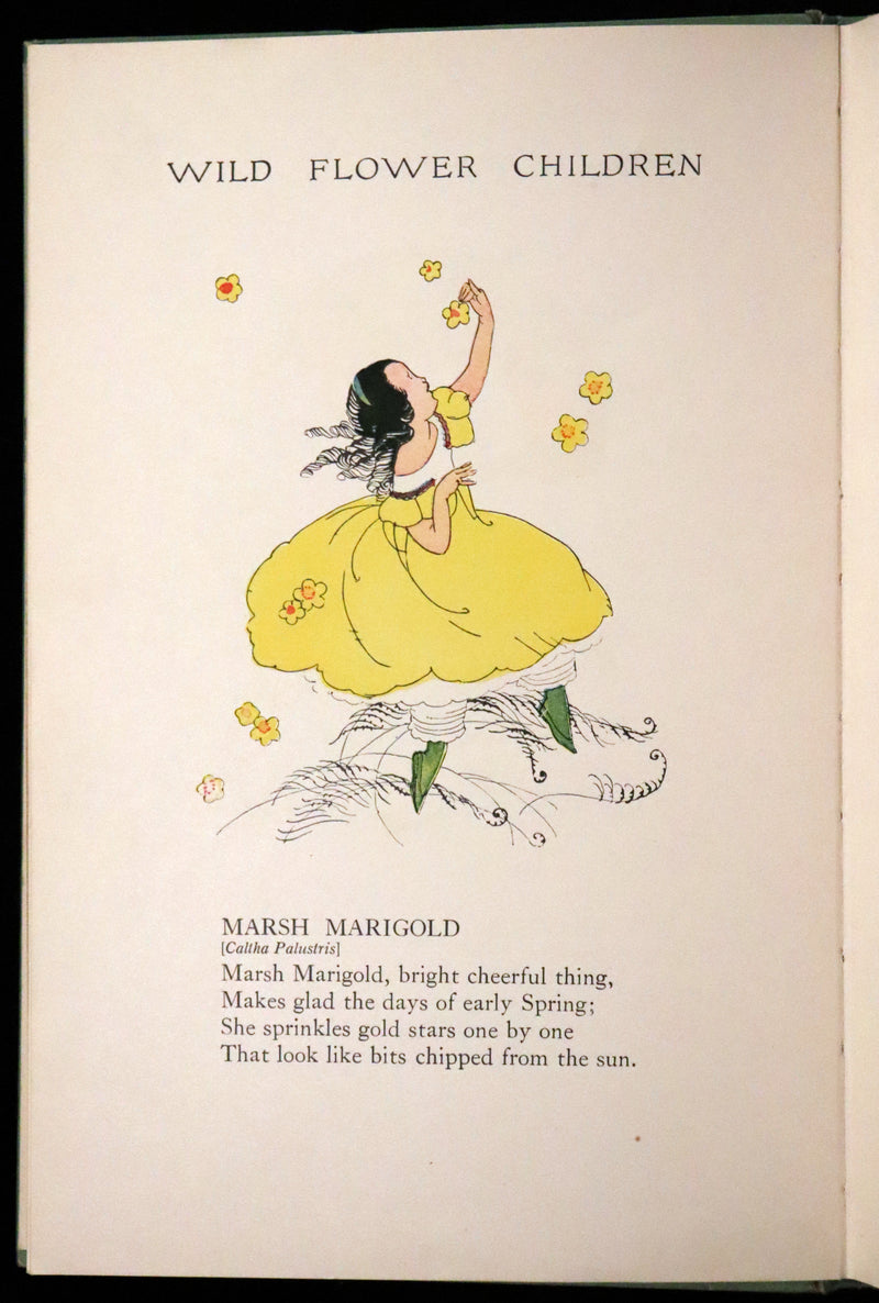 1918 Rare First Edition - WILD FLOWER CHILDREN The Little Playmates of the Fairies illustrated by Janet Laura Scott.