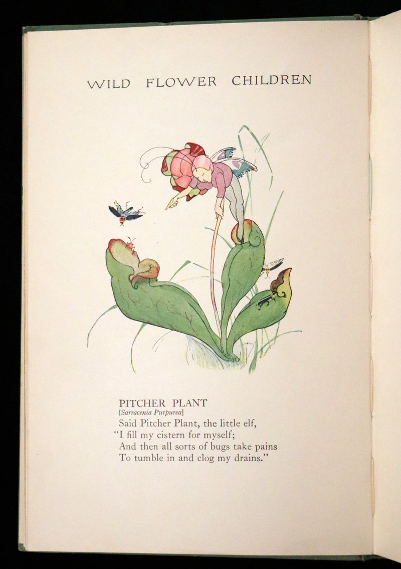 1918 Rare First Edition - WILD FLOWER CHILDREN The Little Playmates of the Fairies illustrated by Janet Laura Scott.