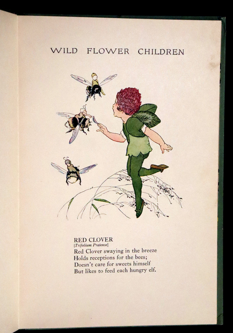 1918 Rare First Edition - WILD FLOWER CHILDREN The Little Playmates of the Fairies illustrated by Janet Laura Scott.