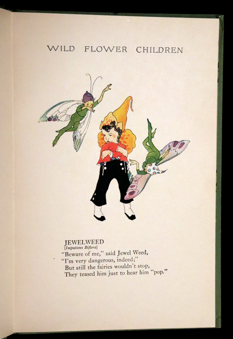 1918 Rare First Edition - WILD FLOWER CHILDREN The Little Playmates of the Fairies illustrated by Janet Laura Scott.