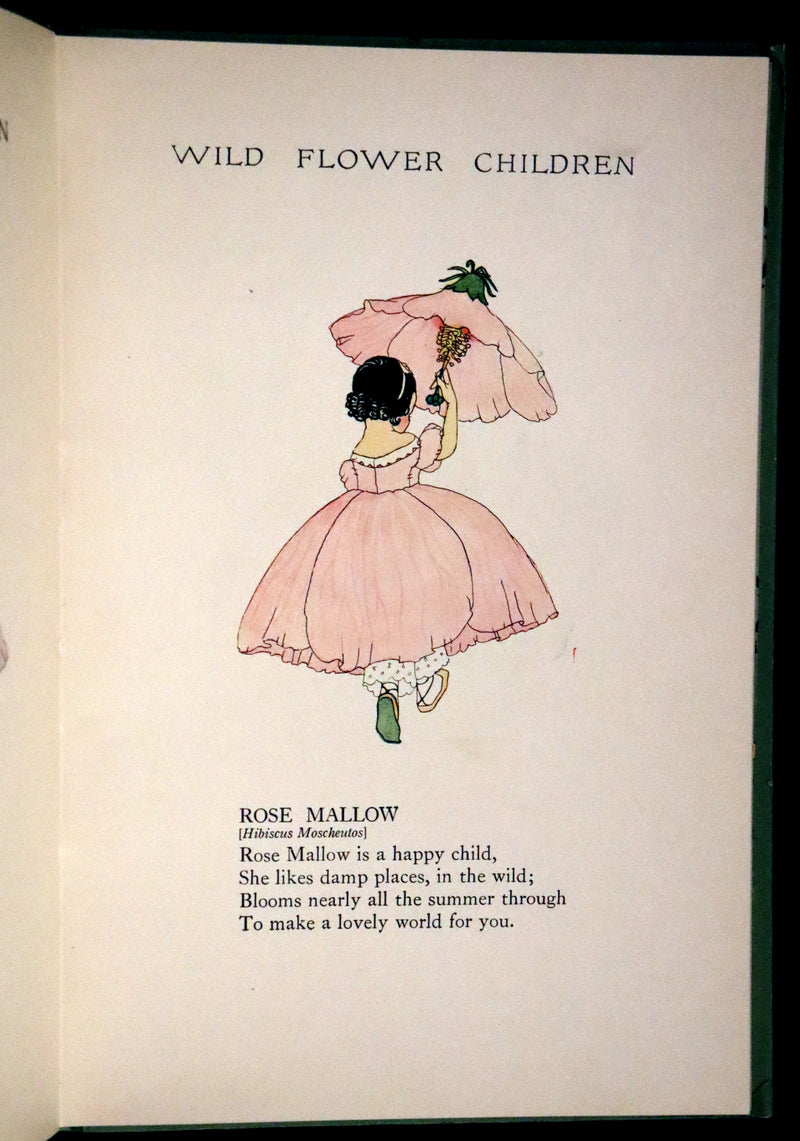 1918 Rare First Edition - WILD FLOWER CHILDREN The Little Playmates of the Fairies illustrated by Janet Laura Scott.
