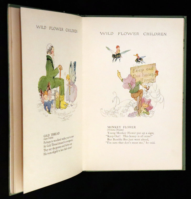 1918 Rare First Edition - WILD FLOWER CHILDREN The Little Playmates of the Fairies illustrated by Janet Laura Scott.