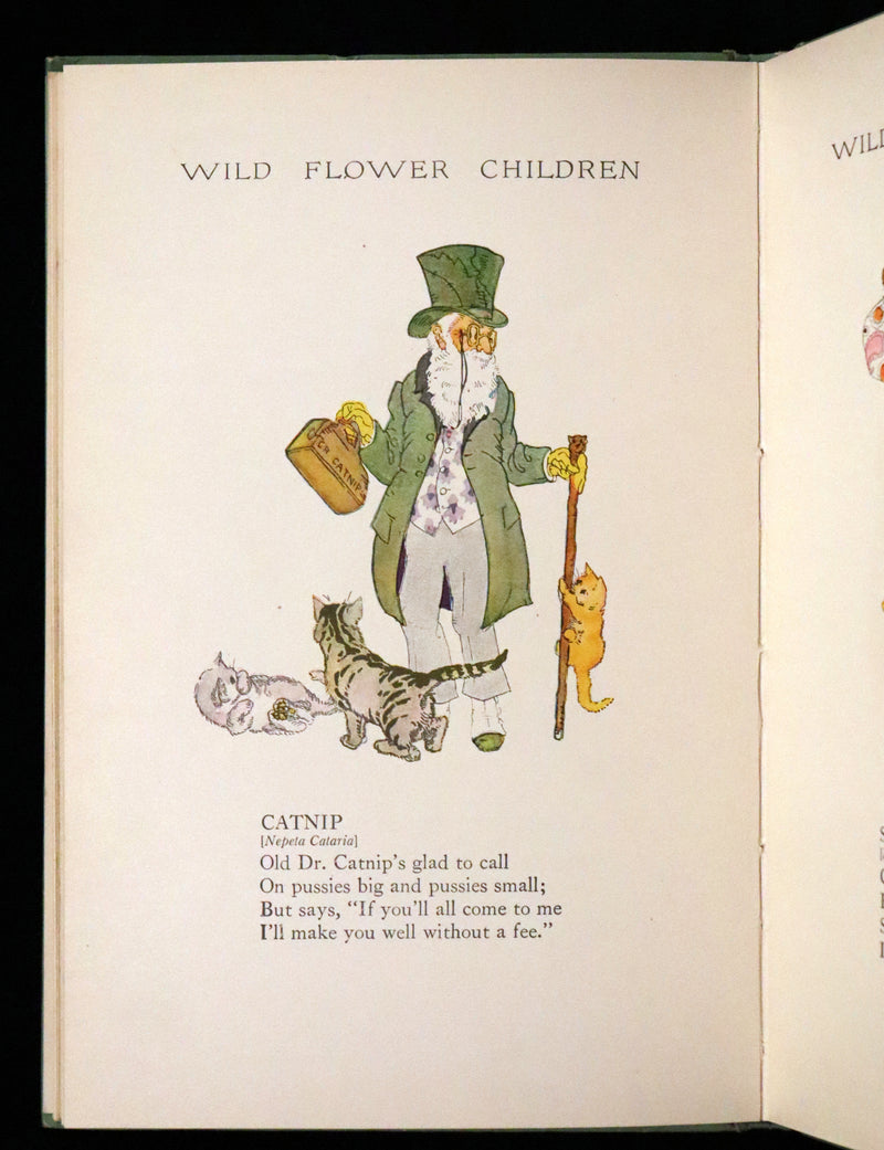 1918 Rare First Edition - WILD FLOWER CHILDREN The Little Playmates of the Fairies illustrated by Janet Laura Scott.