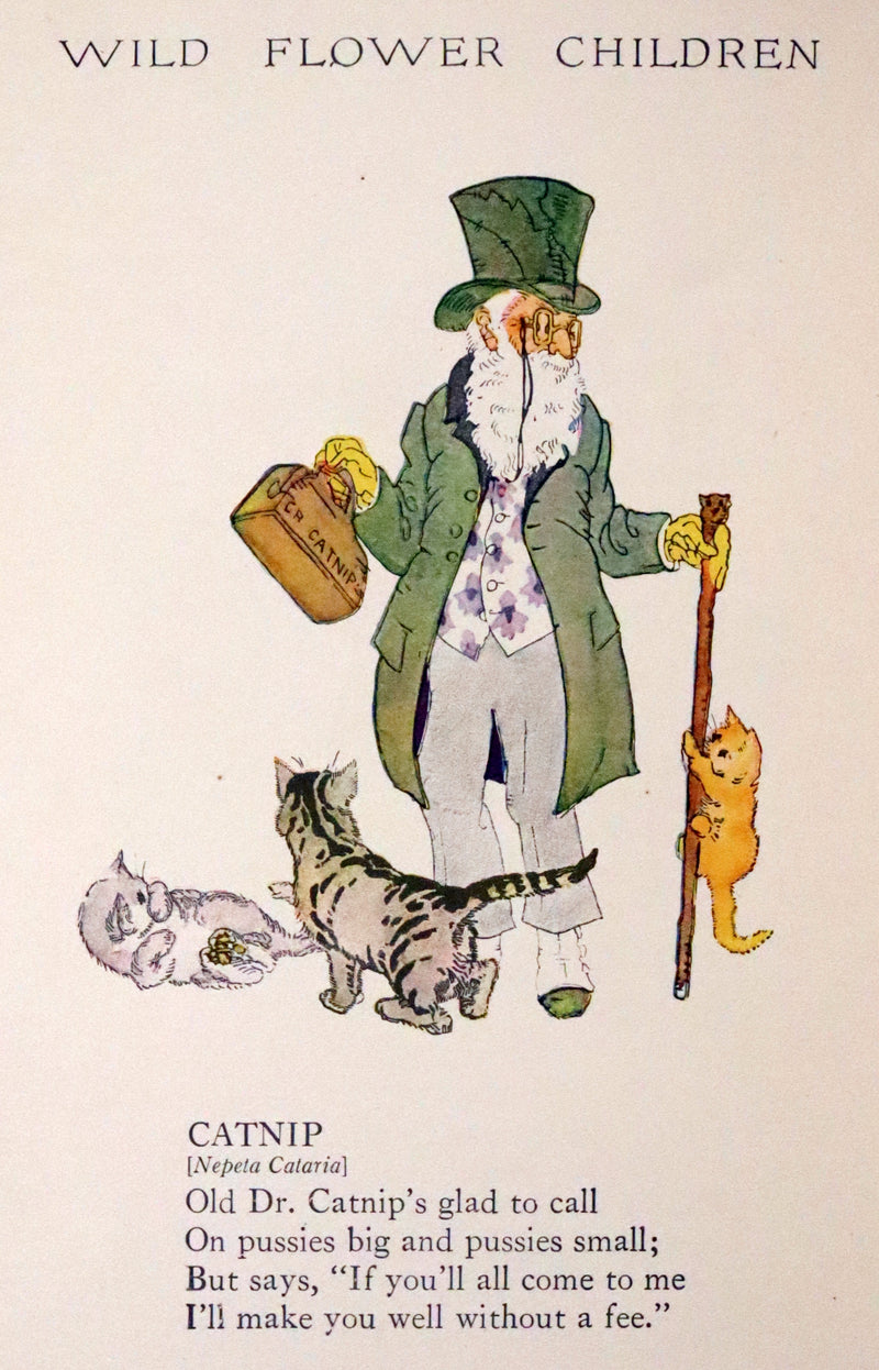 1918 Rare First Edition - WILD FLOWER CHILDREN The Little Playmates of the Fairies illustrated by Janet Laura Scott.