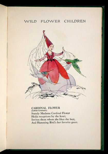 1918 Rare First Edition - WILD FLOWER CHILDREN The Little Playmates of the Fairies illustrated by Janet Laura Scott.