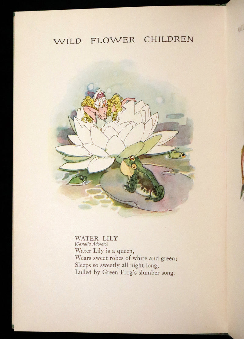 1918 Rare First Edition - WILD FLOWER CHILDREN The Little Playmates of the Fairies illustrated by Janet Laura Scott.