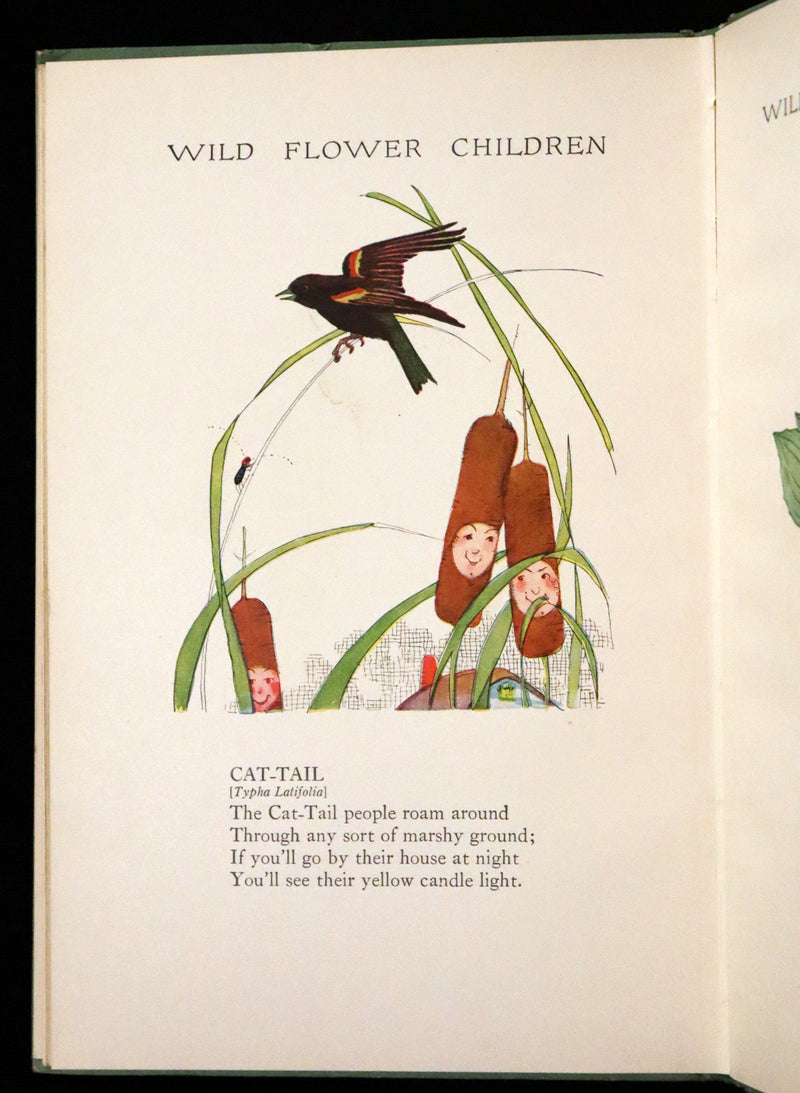 1918 Rare First Edition - WILD FLOWER CHILDREN The Little Playmates of the Fairies illustrated by Janet Laura Scott.