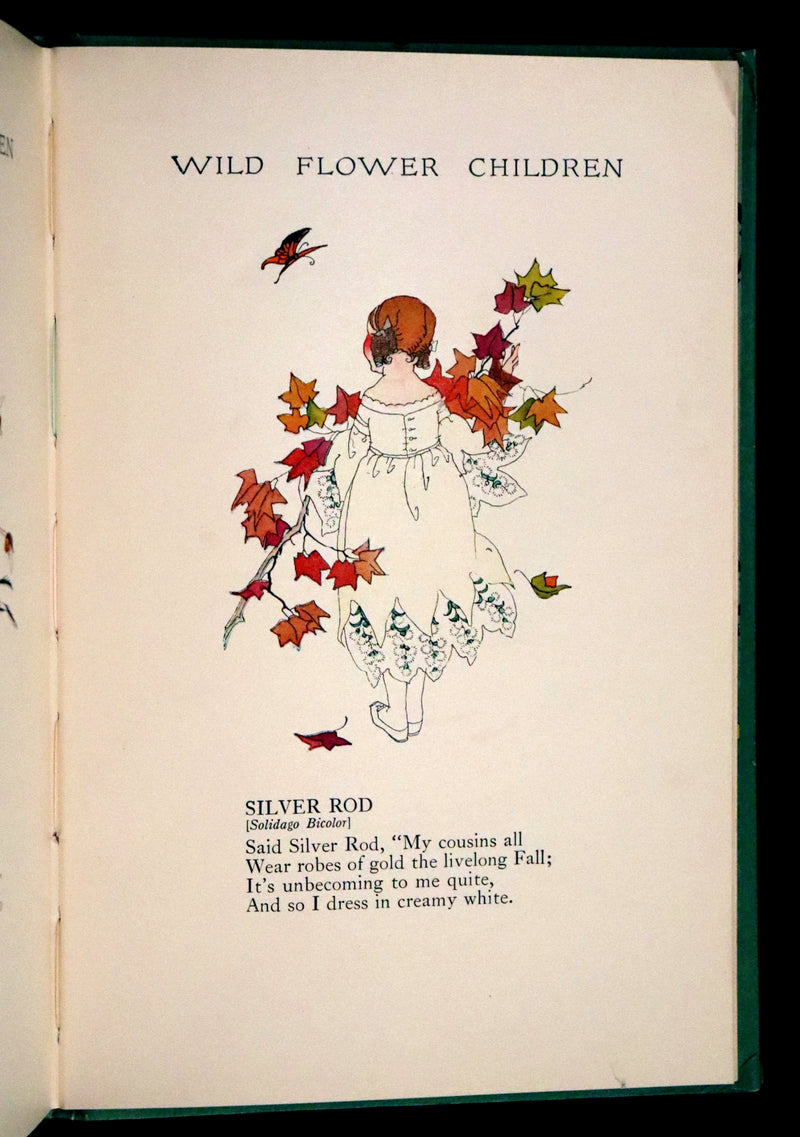 1918 Rare First Edition - WILD FLOWER CHILDREN The Little Playmates of the Fairies illustrated by Janet Laura Scott.