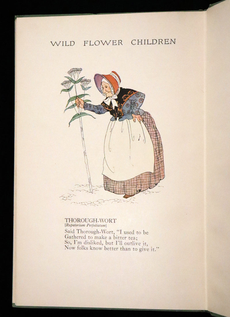 1918 Rare First Edition - WILD FLOWER CHILDREN The Little Playmates of the Fairies illustrated by Janet Laura Scott.