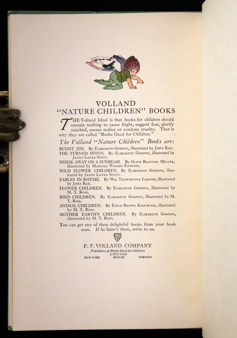 1918 Rare First Edition - WILD FLOWER CHILDREN The Little Playmates of the Fairies illustrated by Janet Laura Scott.