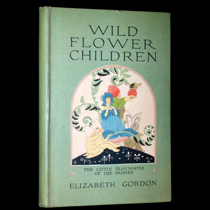1918 Rare First Edition - WILD FLOWER CHILDREN The Little Playmates of the Fairies illustrated by Janet Laura Scott.