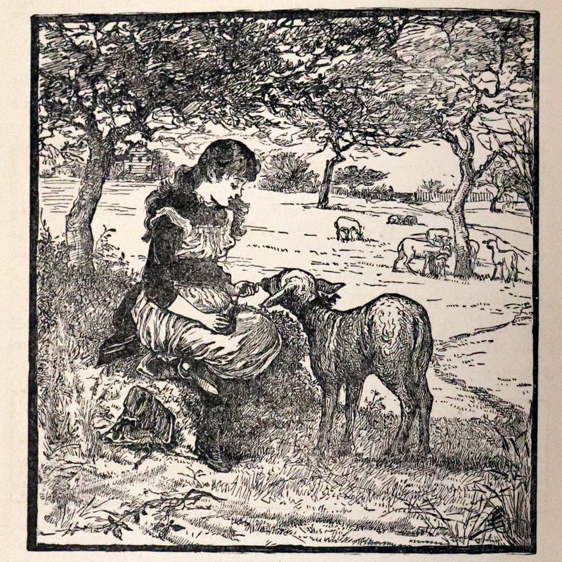 1900 Scarce Edition - Little Red Riding Hood and Other Fairy Tales. Illustrated.