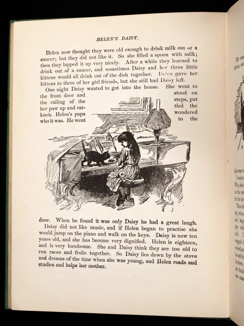 1900 Scarce Edition - Little Red Riding Hood and Other Fairy Tales. Illustrated.