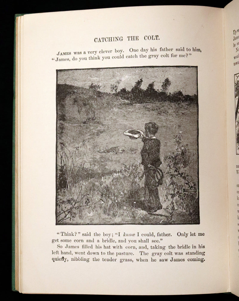 1900 Scarce Edition - Little Red Riding Hood and Other Fairy Tales. Illustrated.