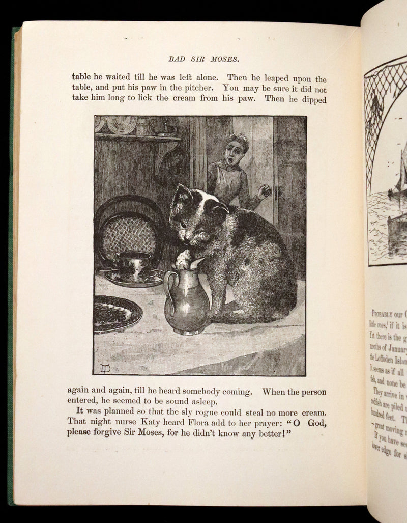 1900 Scarce Edition - Little Red Riding Hood and Other Fairy Tales. Illustrated.
