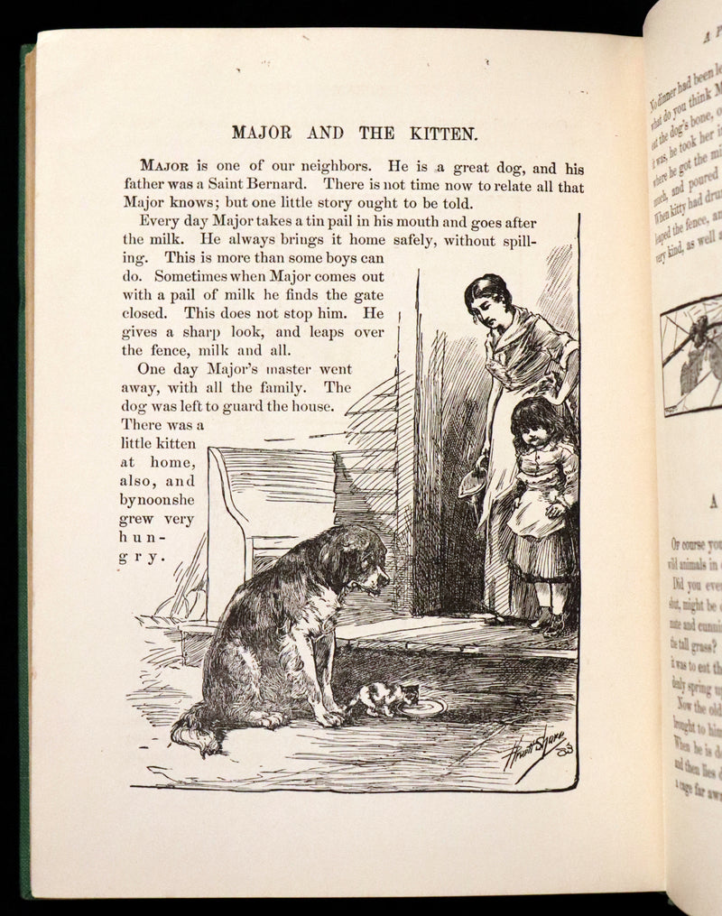 1900 Scarce Edition - Little Red Riding Hood and Other Fairy Tales. Illustrated.