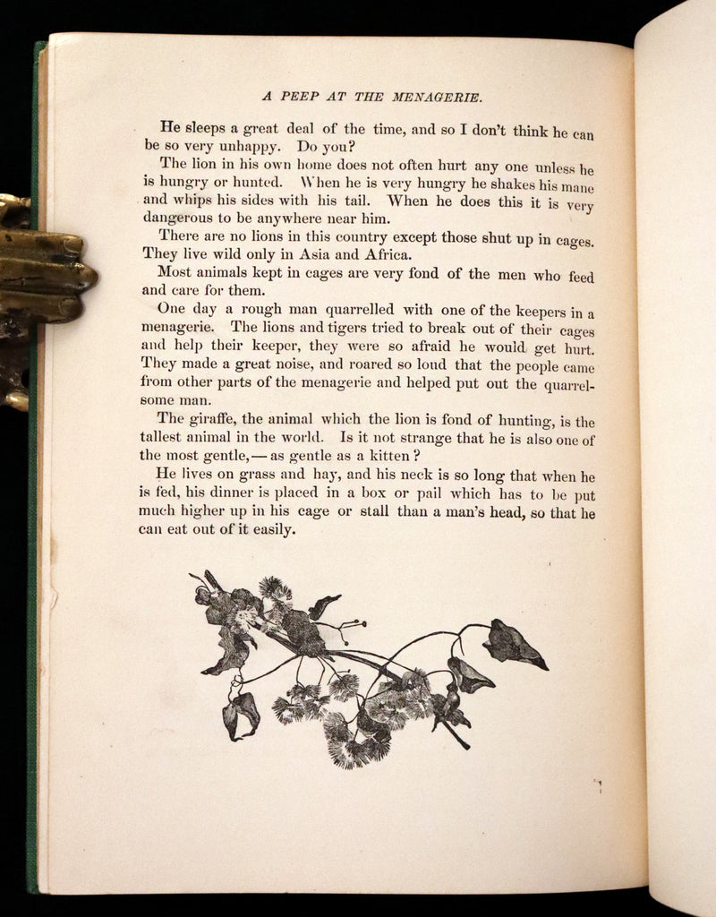 1900 Scarce Edition - Little Red Riding Hood and Other Fairy Tales. Illustrated.