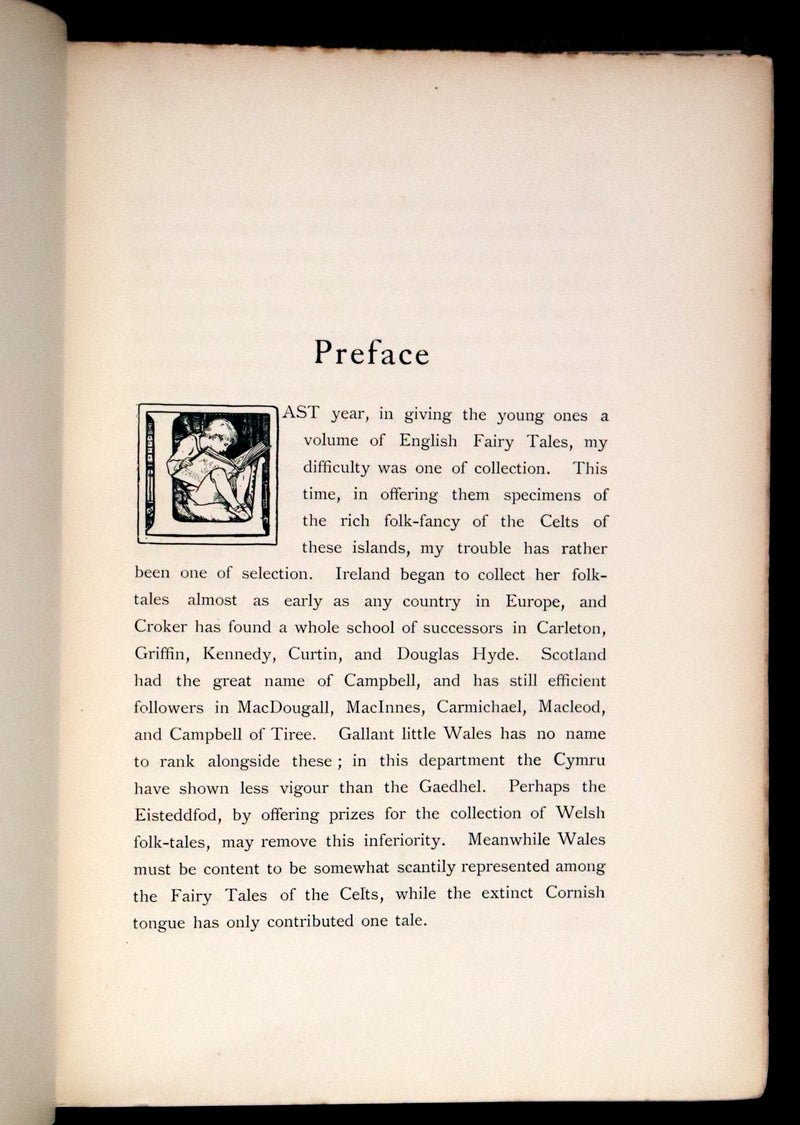 1892 Rare First Edition - CELTIC FAIRY TALES by J. Jacobs Illustrated by J.D. Batten.