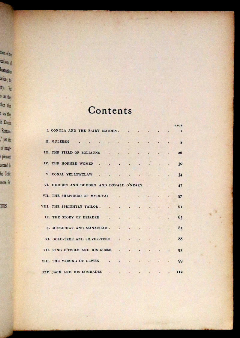 1892 Rare First Edition - CELTIC FAIRY TALES by J. Jacobs Illustrated by J.D. Batten.