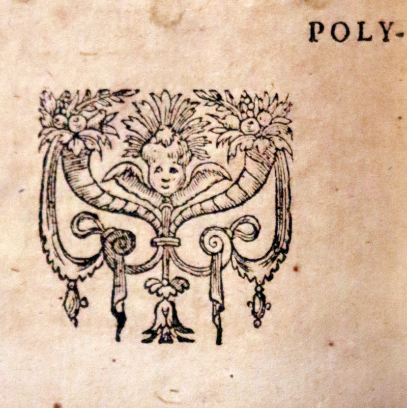 1597 Rare Latin Vellum Book - Polybius - Roman Republic's Histories - Megalopolitani Historiarum.