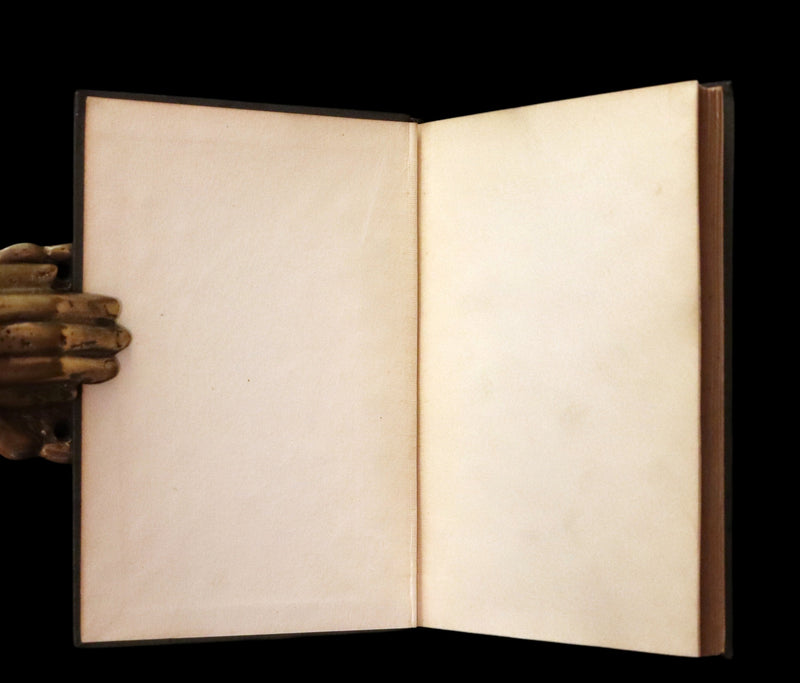 1895 Rare Book - The Raven and other POEMS by Edgar Allan POE.