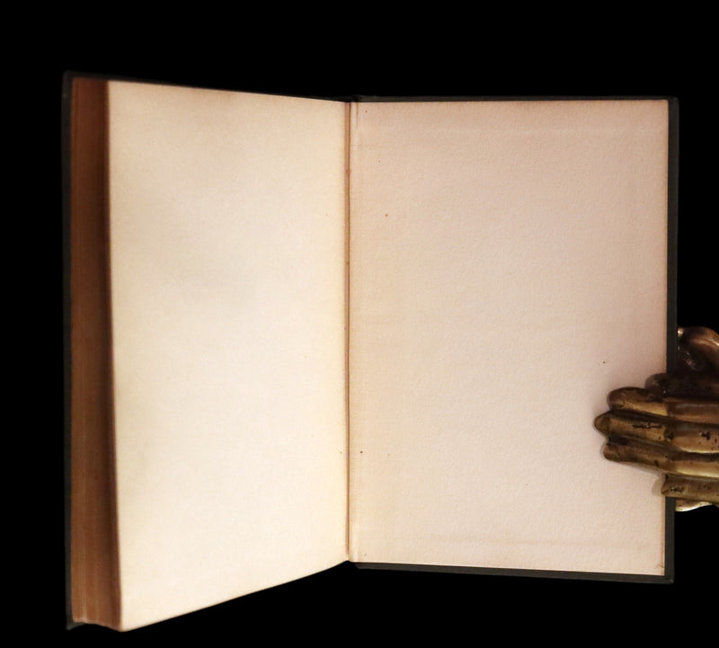 1895 Rare Book - The Raven and other POEMS by Edgar Allan POE.