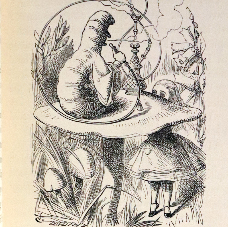 1898 Rare Two volumes in One - Alice's Adventures in Wonderland & Through the Looking Glass by Lewis Carroll.