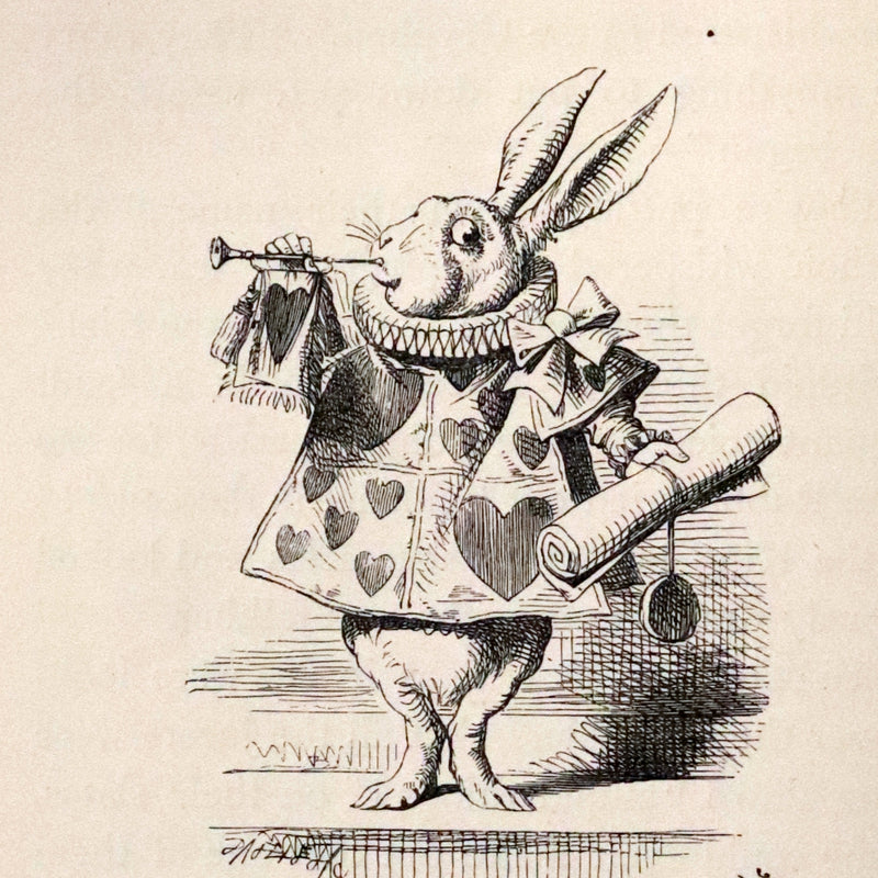 1898 Rare Two volumes in One - Alice's Adventures in Wonderland & Through the Looking Glass by Lewis Carroll.