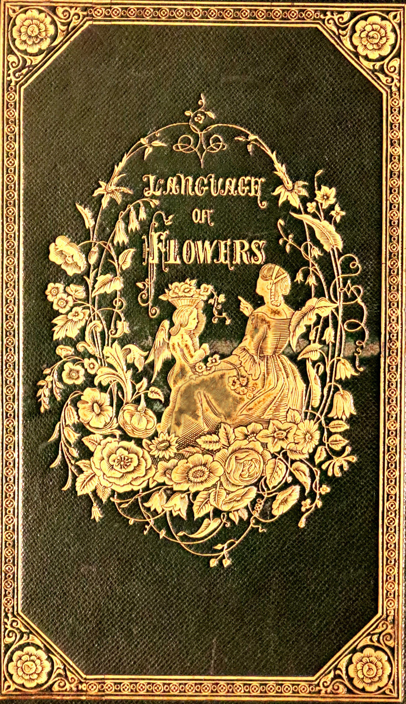 1847 Scarce Floriography First Edition ~ The Poetical Language of Flowers or the Pilgrimage of Love by Thomas Miller.