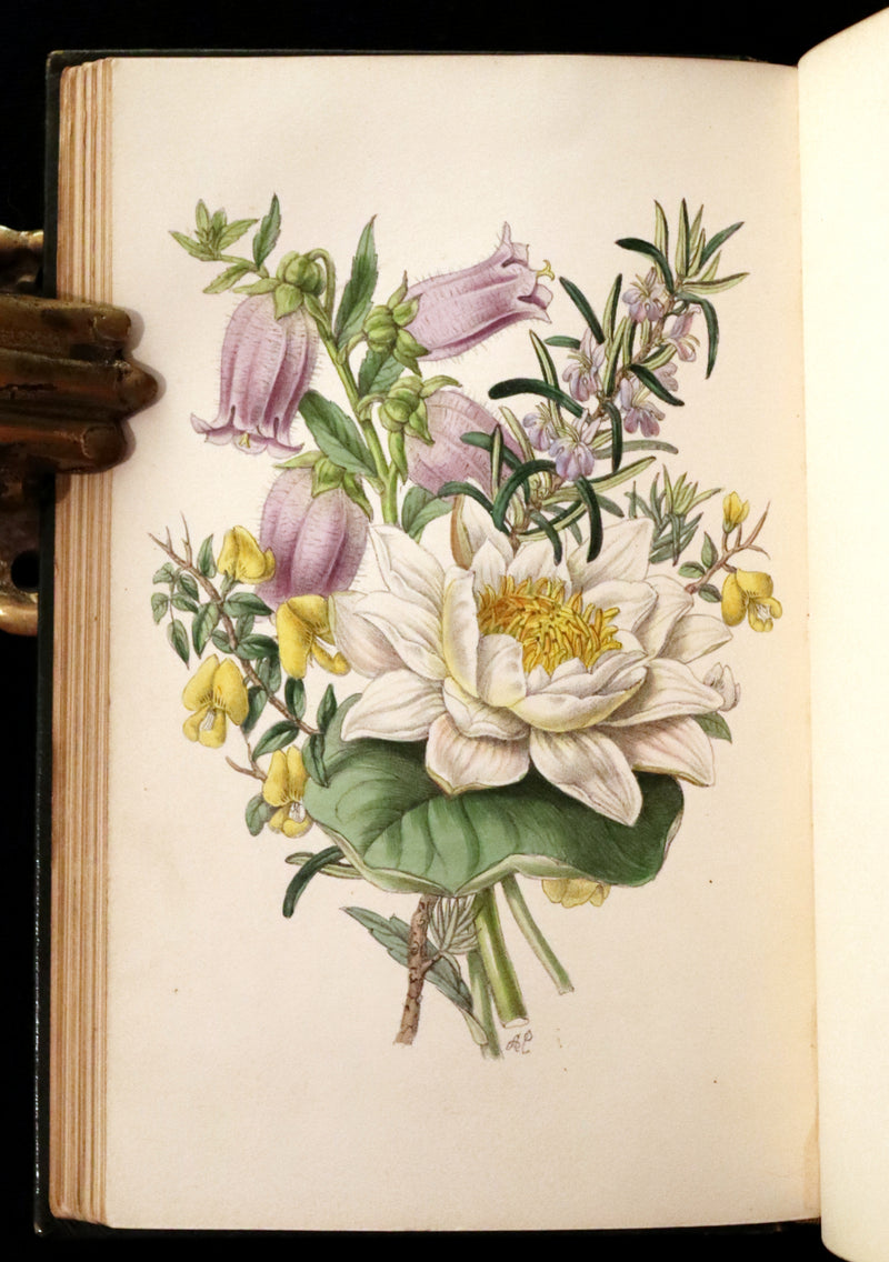 1847 Scarce Floriography First Edition ~ The Poetical Language of Flowers or the Pilgrimage of Love by Thomas Miller.