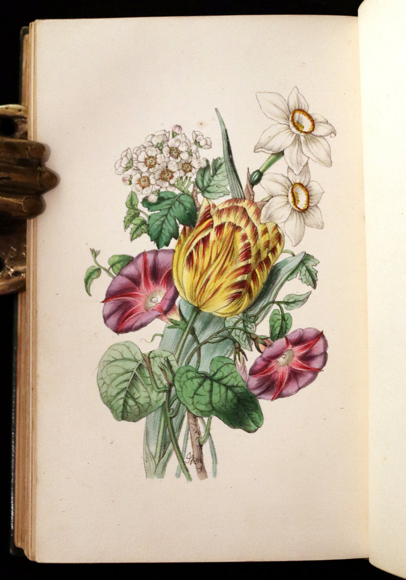1847 Scarce Floriography First Edition ~ The Poetical Language of Flowers or the Pilgrimage of Love by Thomas Miller.