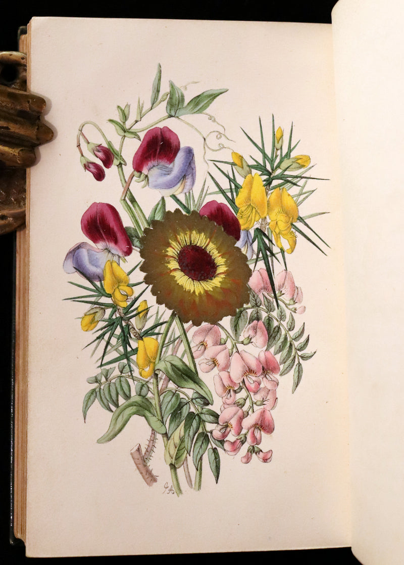 1847 Scarce Floriography First Edition ~ The Poetical Language of Flowers or the Pilgrimage of Love by Thomas Miller.