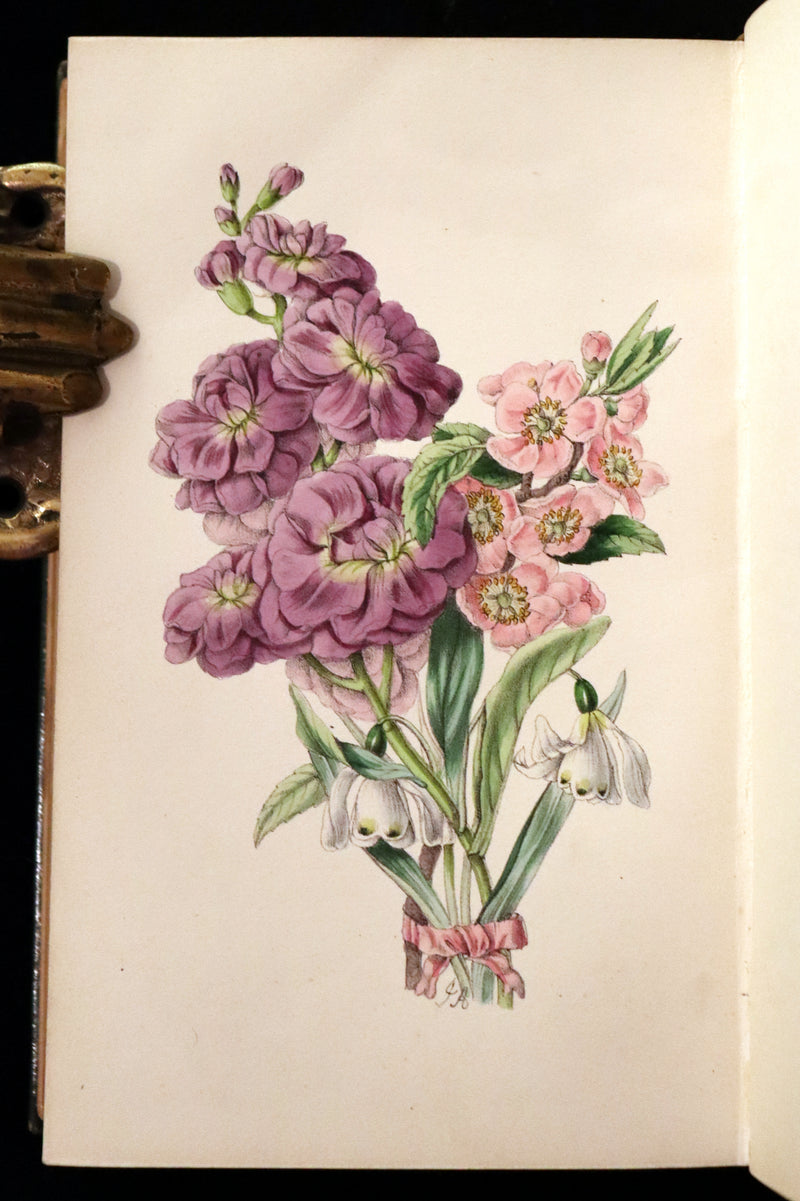 1847 Scarce Floriography First Edition ~ The Poetical Language of Flowers or the Pilgrimage of Love by Thomas Miller.