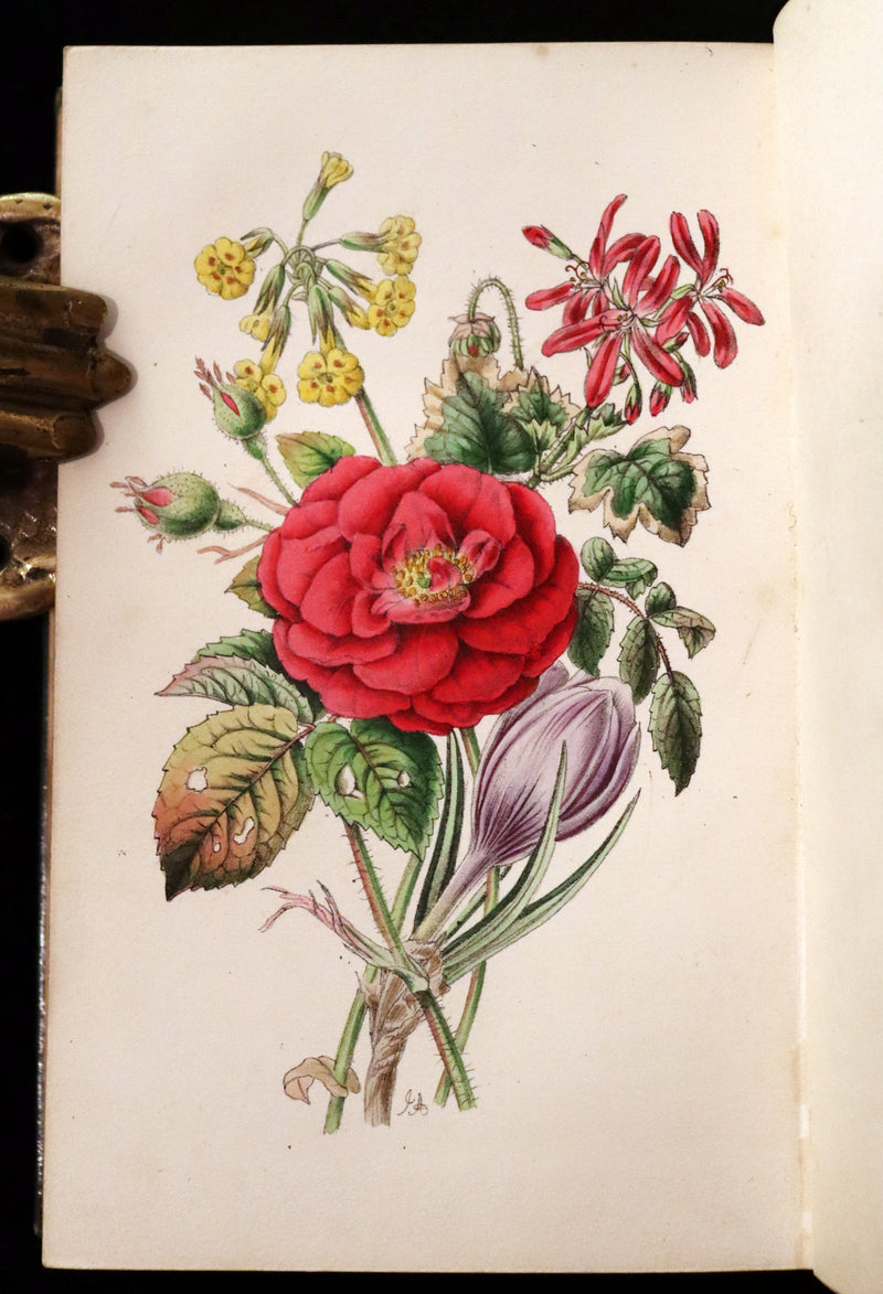 1847 Scarce Floriography First Edition ~ The Poetical Language of Flowers or the Pilgrimage of Love by Thomas Miller.