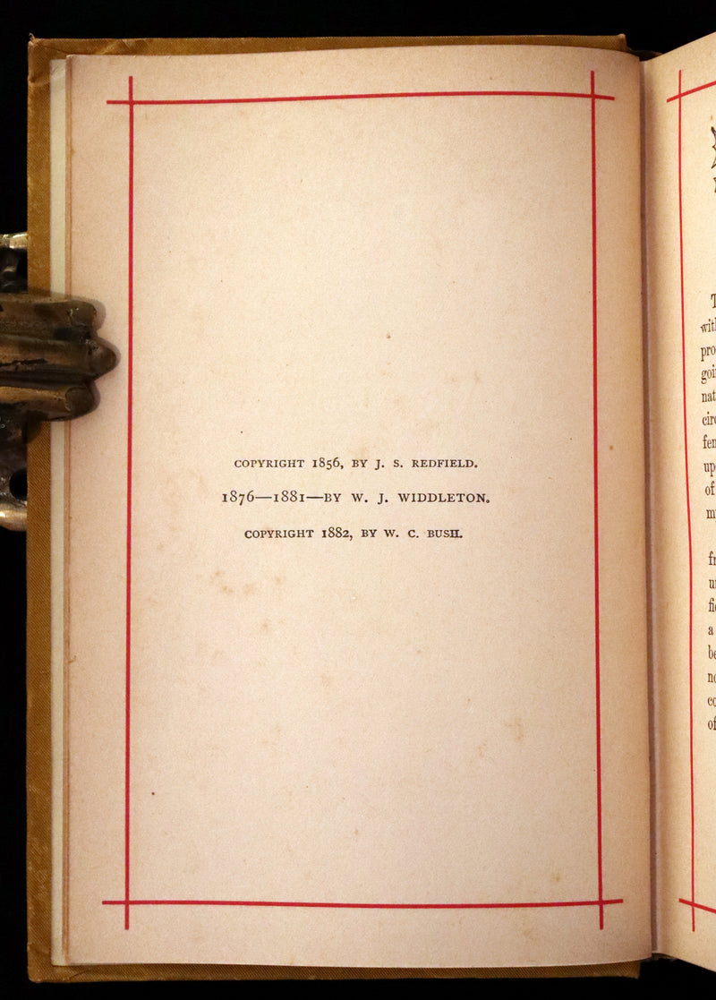 1882 Rare Victorian Book - Poems by Edgar Allan POE with Memoir (The Raven, Lenore, Ulalume, ...)