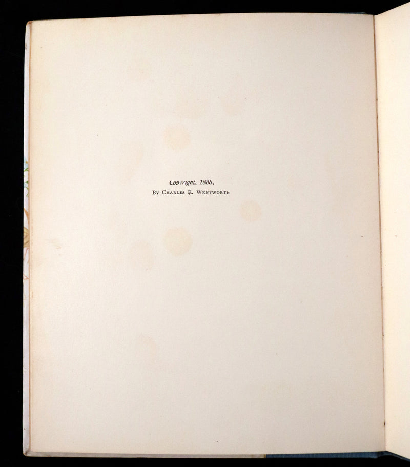 1886 Scarce Victorian Book - LENORE by Edgar Allan POE, First Illustrated edition by Henry Sandham.