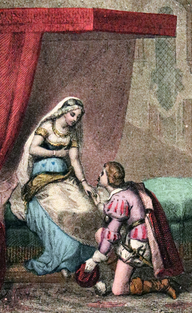 1890 Scarce color illustrated French Book ~ Contes des Fees by Perrault - Fairy Tales.