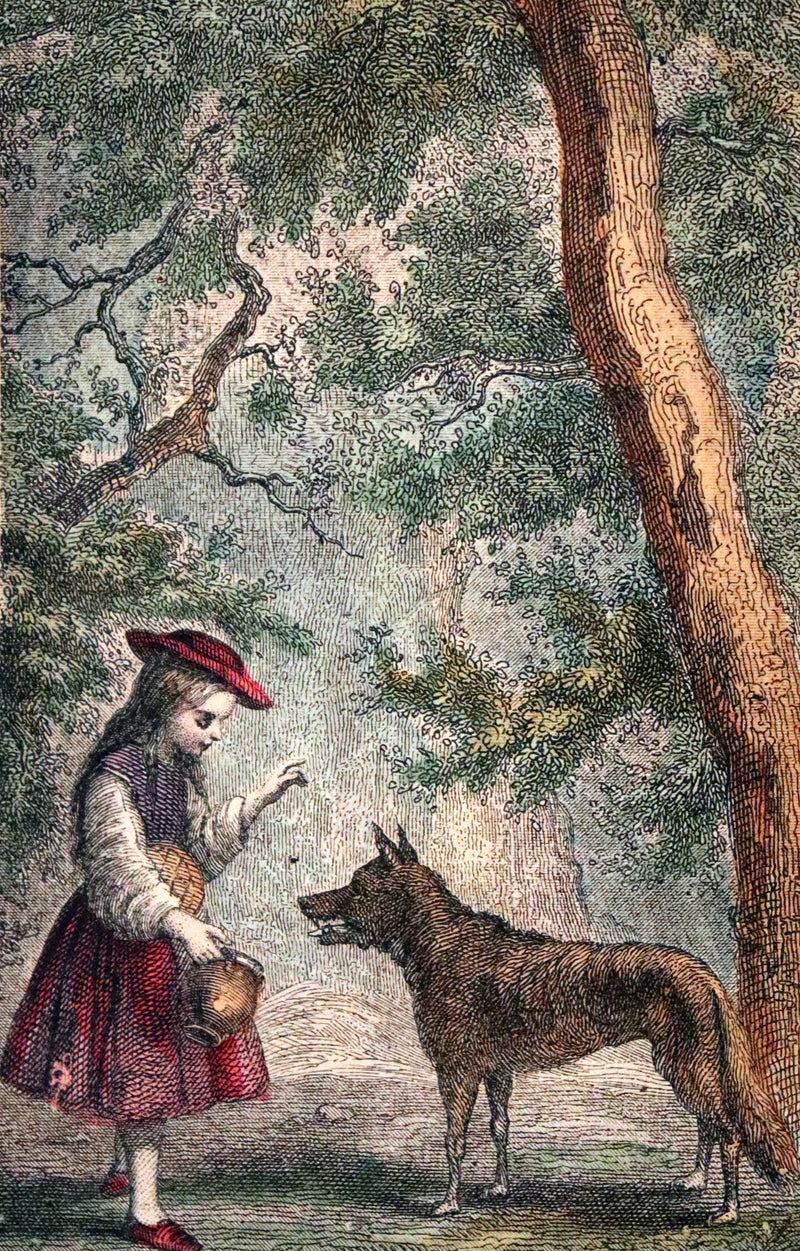 1890 Scarce color illustrated French Book ~ Contes des Fees by Perrault - Fairy Tales.