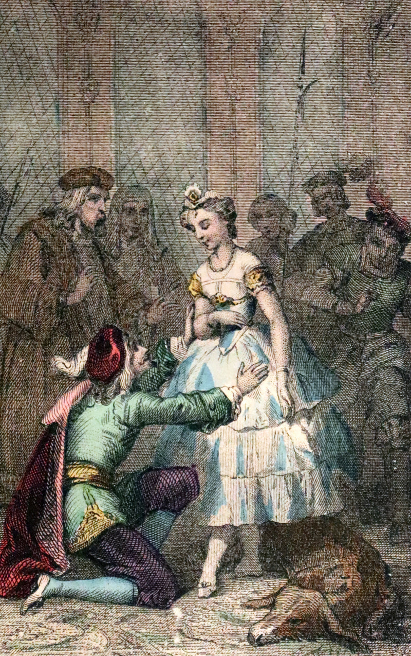 1890 Scarce color illustrated French Book ~ Contes des Fees by Perrault - Fairy Tales.