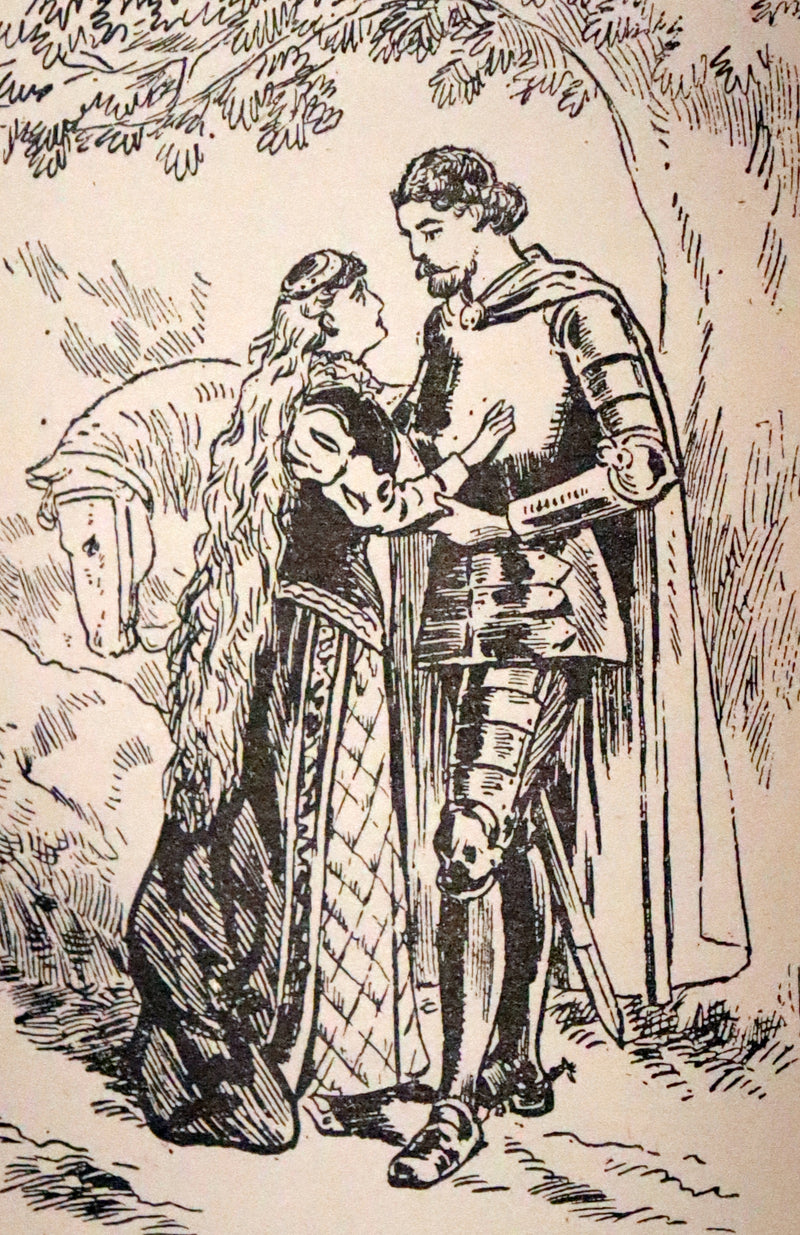 1890 Scarce First Edition - IRISH FAIRY TALES by Edmund Leamy. Illustrated.