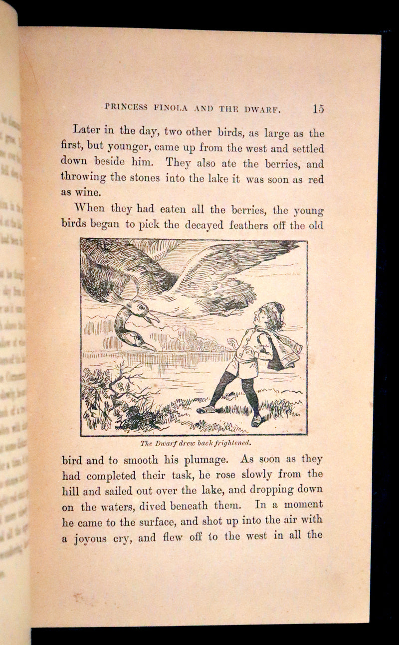 1890 Scarce First Edition - IRISH FAIRY TALES by Edmund Leamy. Illustrated.