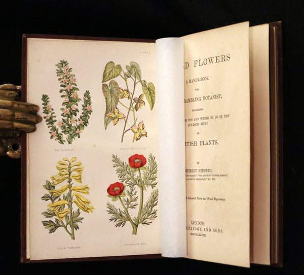 1878 Rare Victorian Book - FIELD FLOWERS, A handy-book for the rambling by the famous botanist James Shirley Hibberd.
